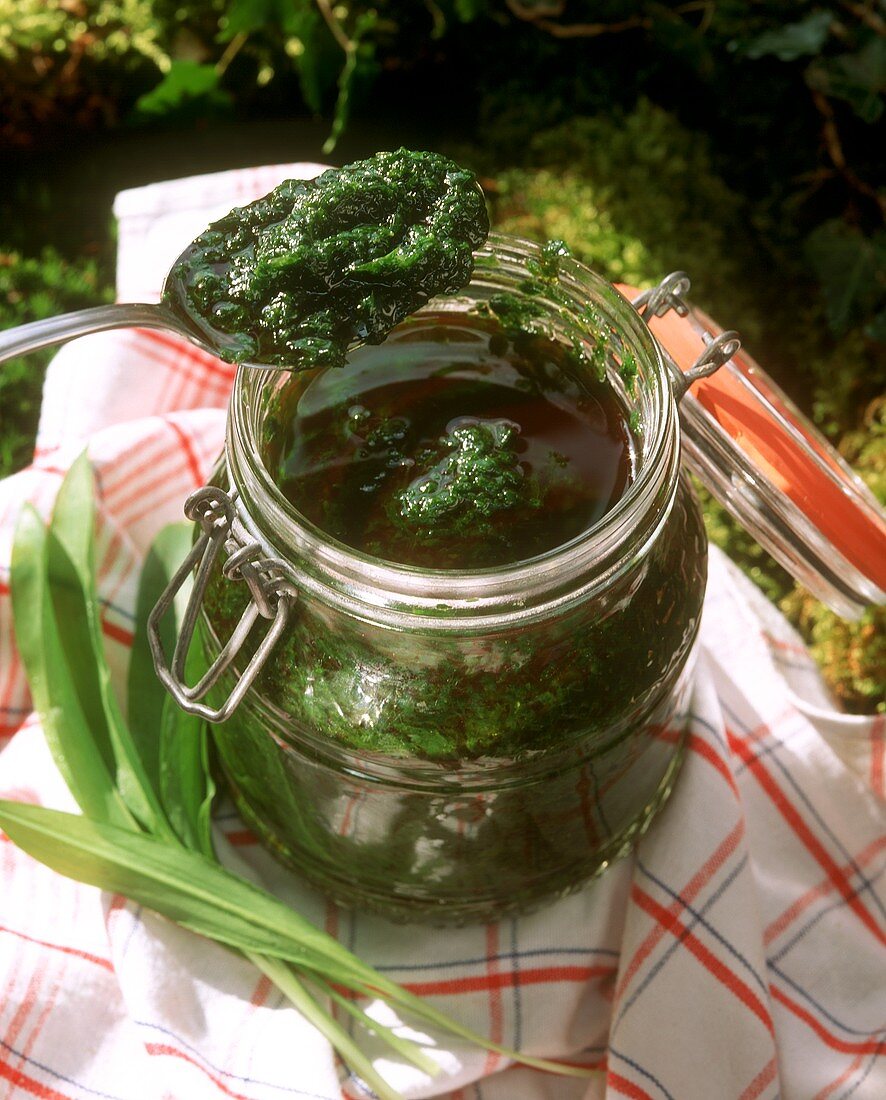 Ramsons (wild garlic) pesto in perserving jar