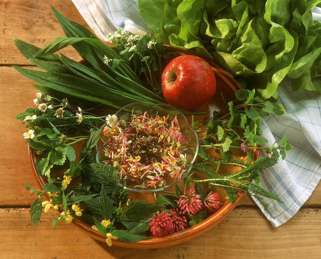 Verschiedene Wildkräuter, Spitzwegerich, Apfel, Salat