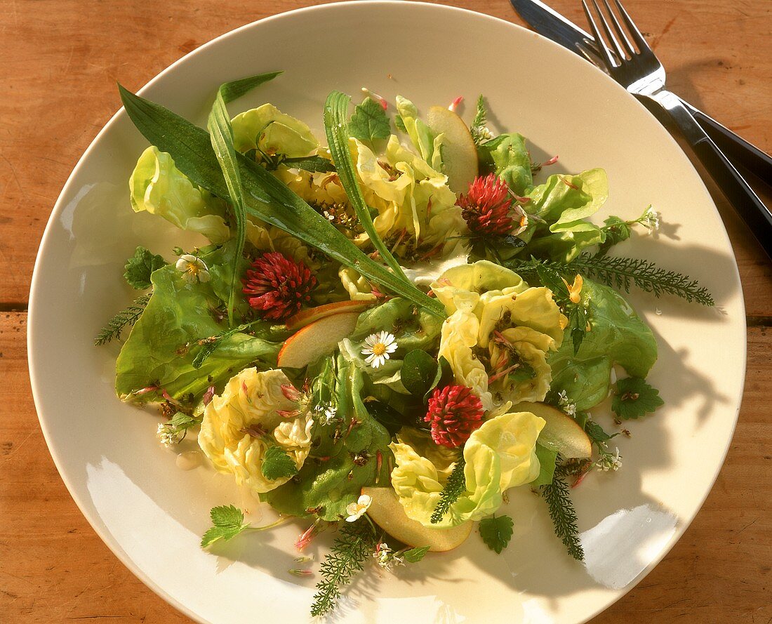 Grüner Salat mit Spitzwegerich, Kräutern und Gänseblümchen