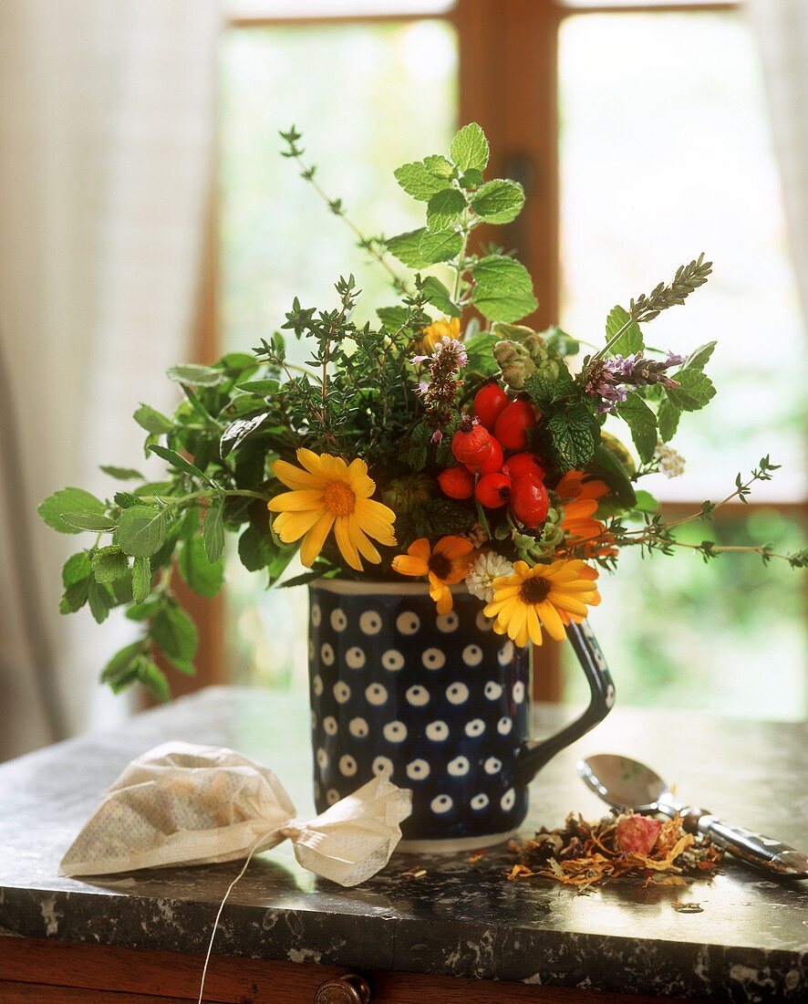 Reviving tea of dried herbs and a bunch of herbs