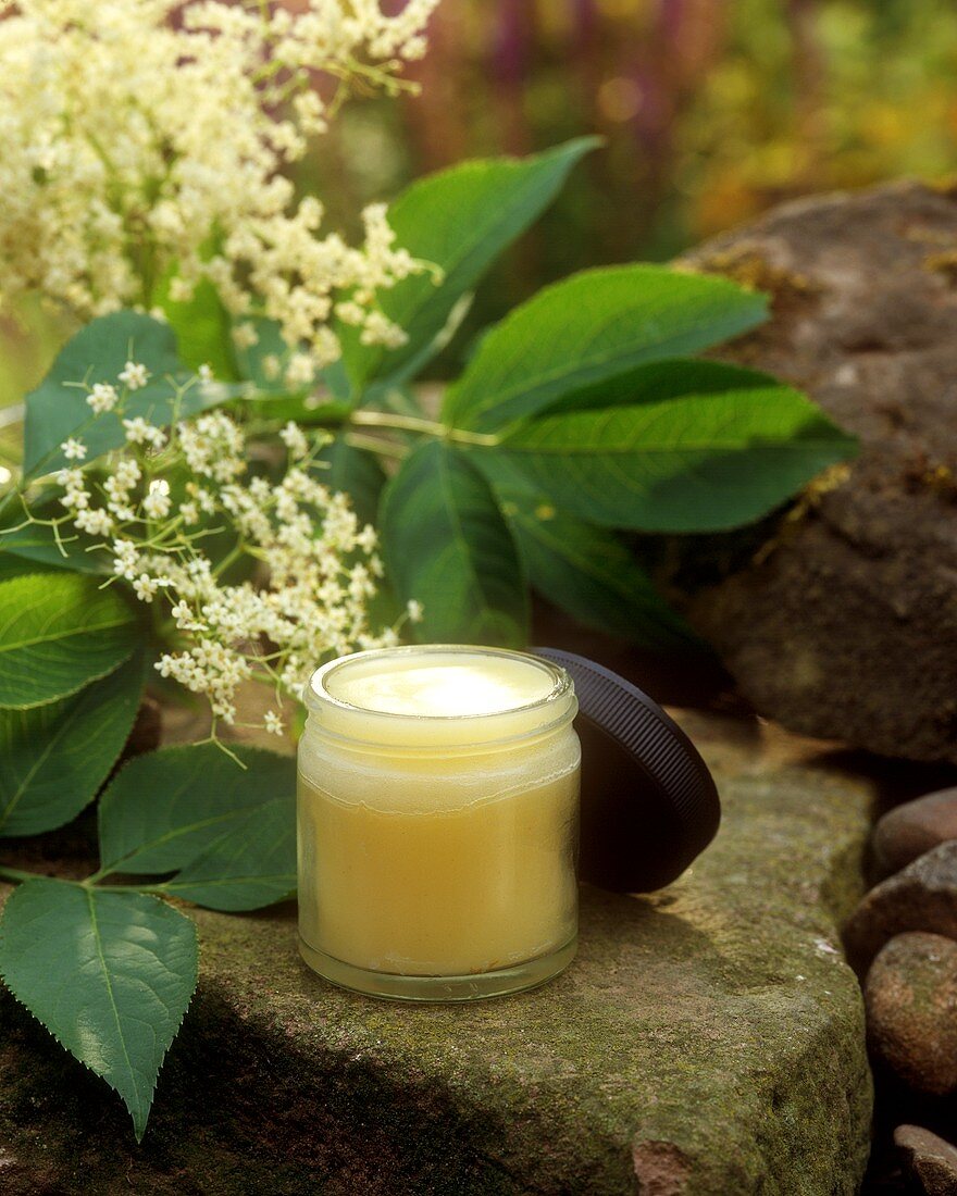 Elderflower ointment (medicinal and skincare remedy)