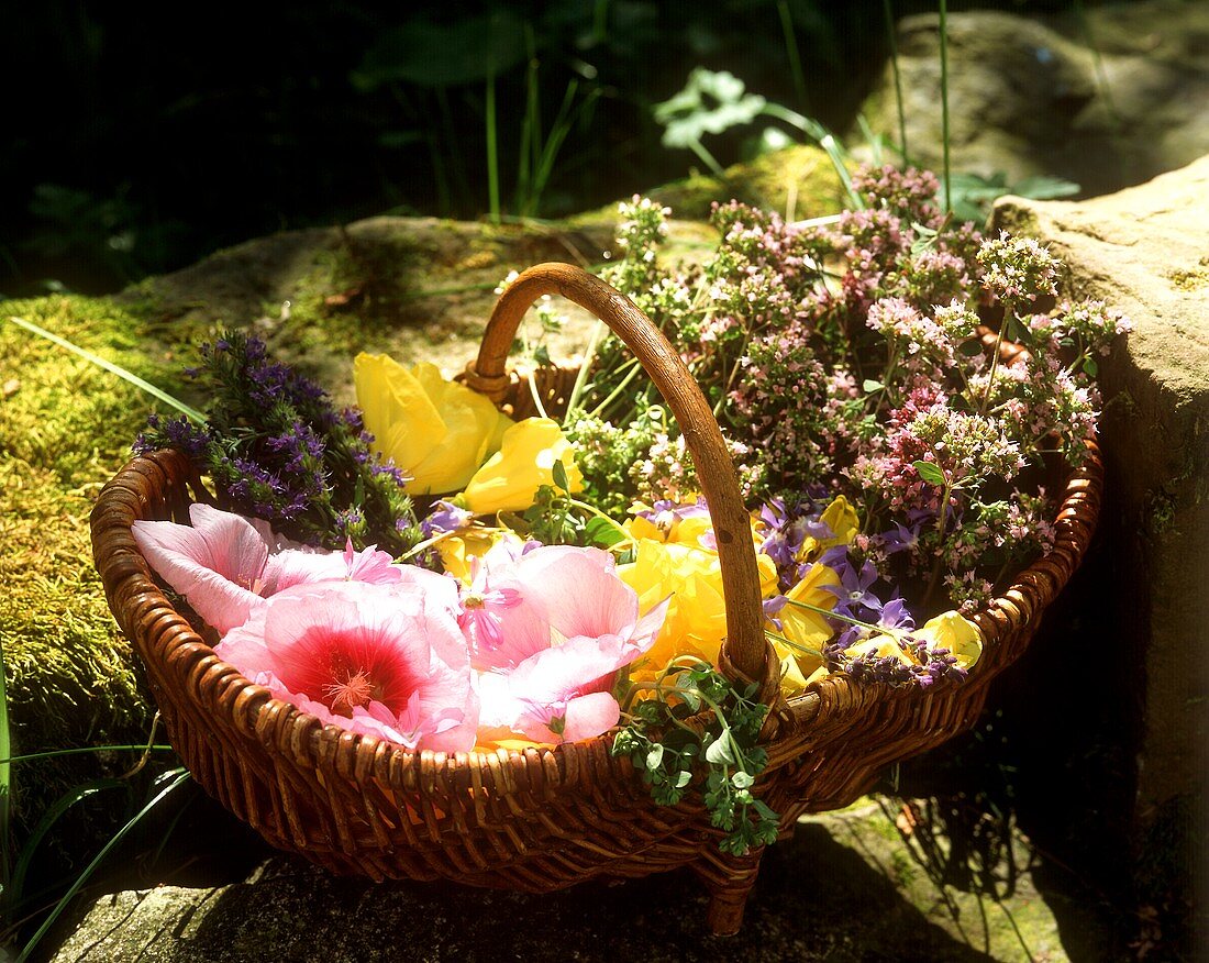 Korb mit frischen Blüten und Kräutern