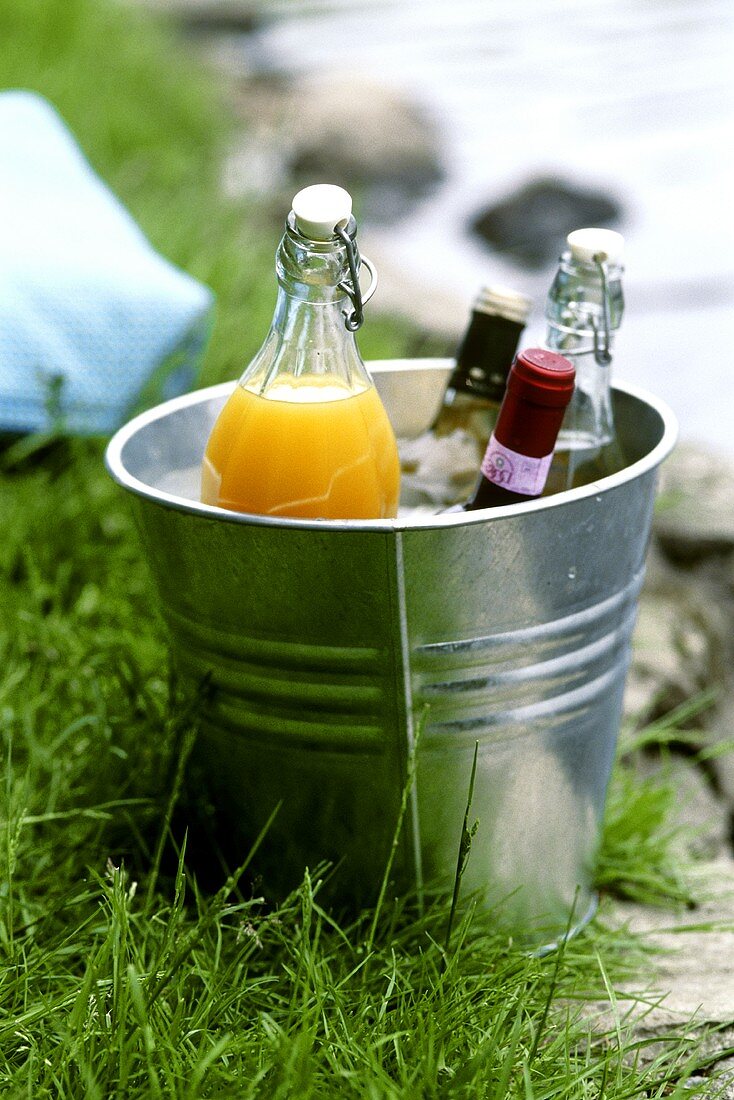 Drinks for a garden party or picnic in ice bucket
