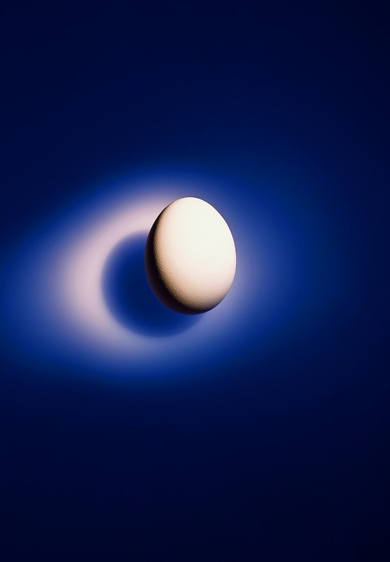Ein Ei auf blauem Untergrund
