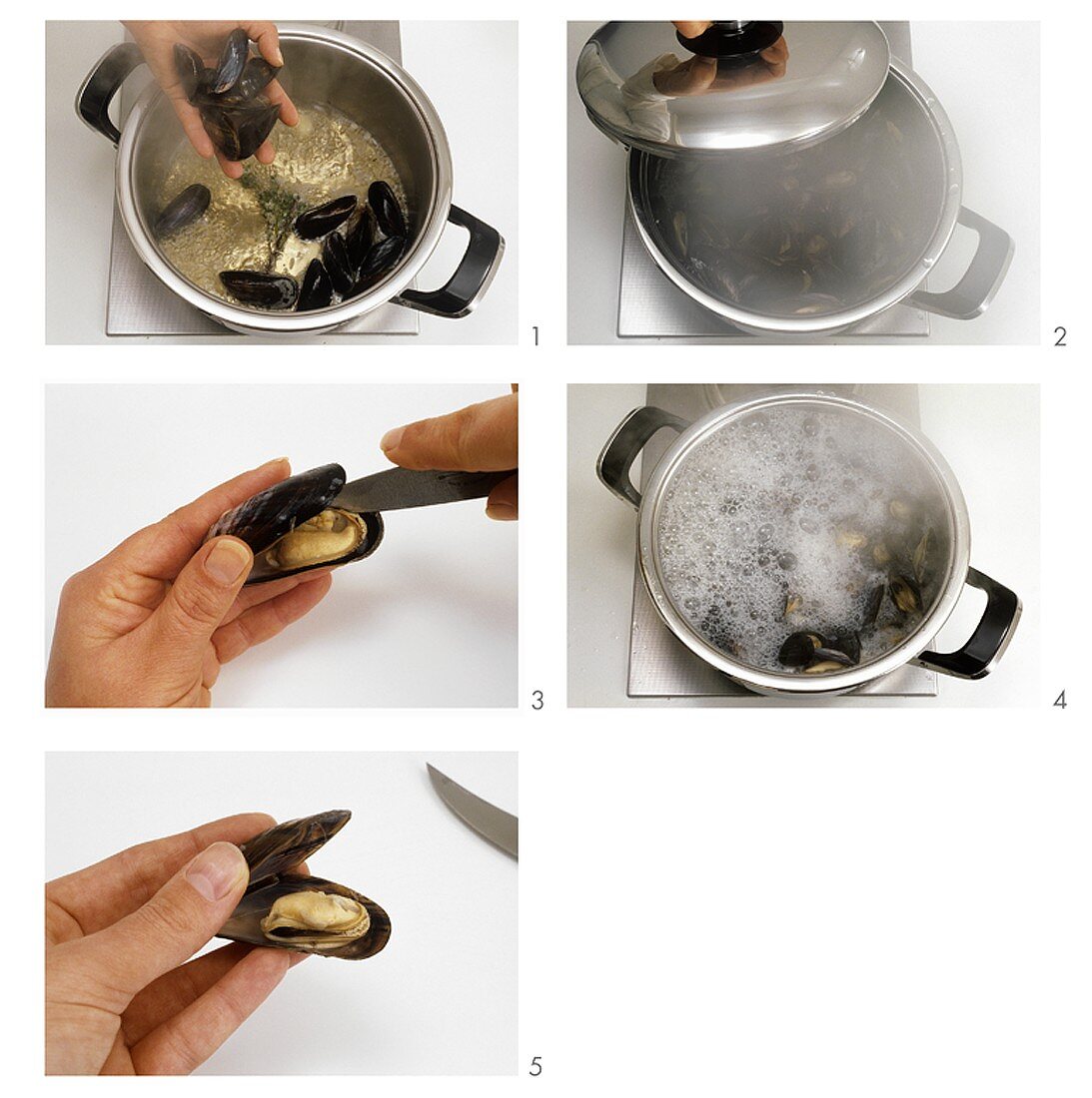 Cooking mussels in stock
