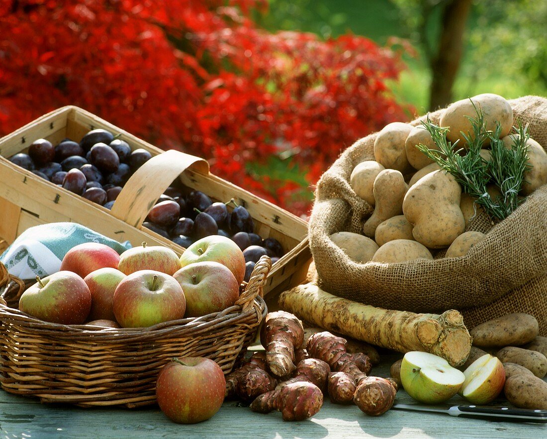 Freshly picked fruit and vegetables