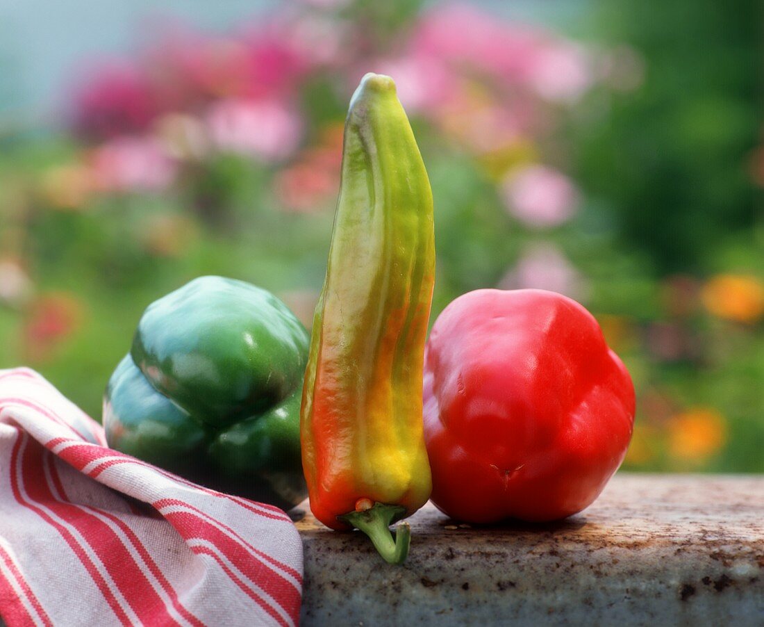 Pepper still life