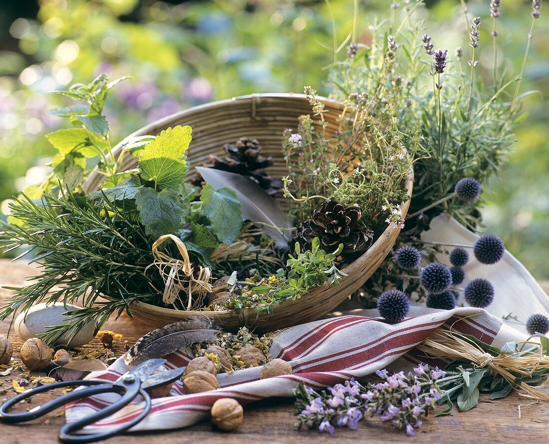 Fresh herbs in a basket