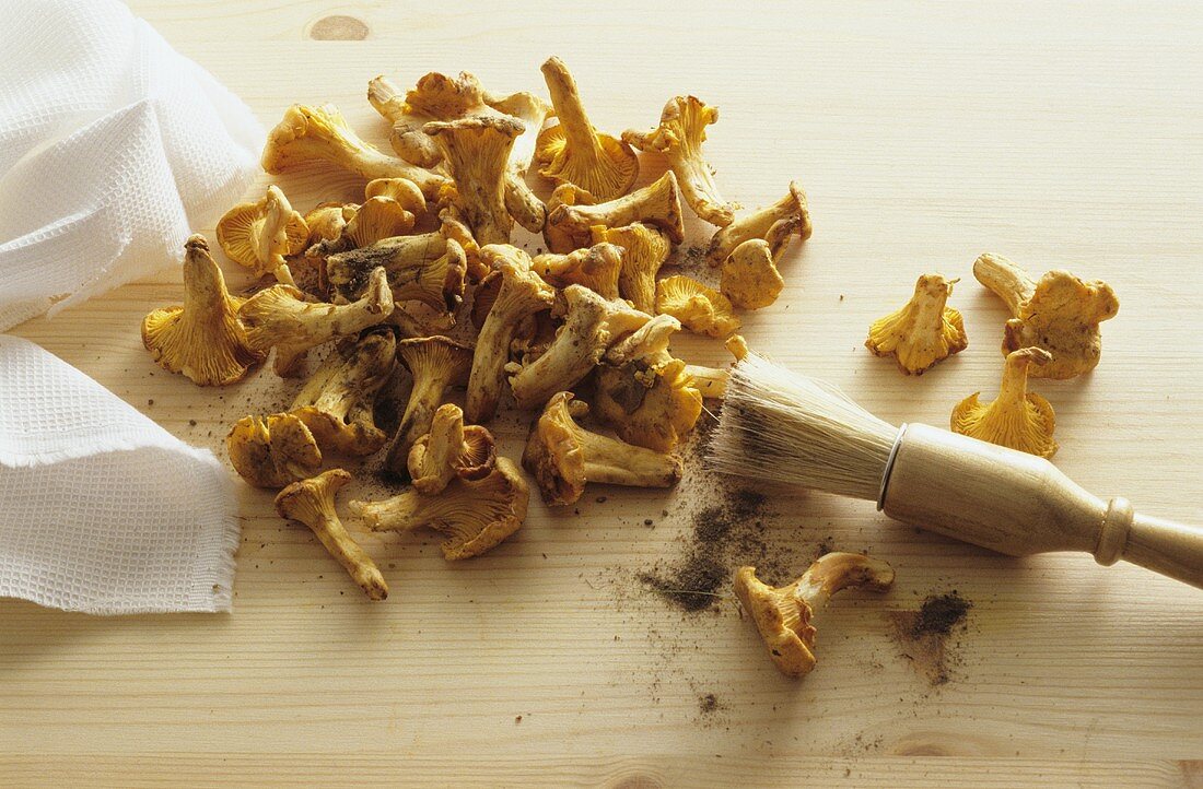 Cleaning chanterelles with a brush