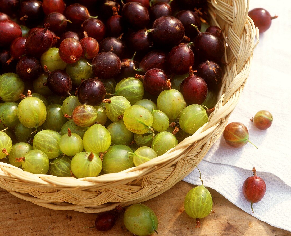 Green and red gooseberries in a basket