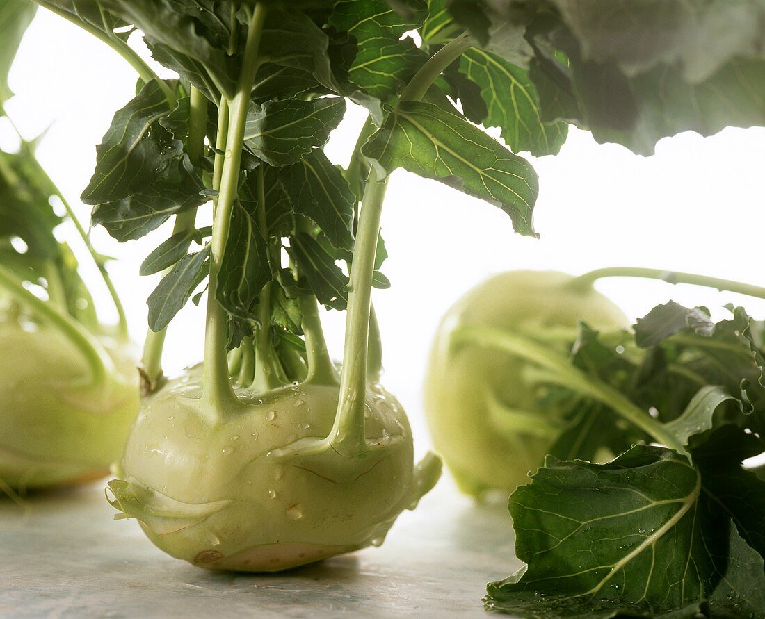 Kohlrabi