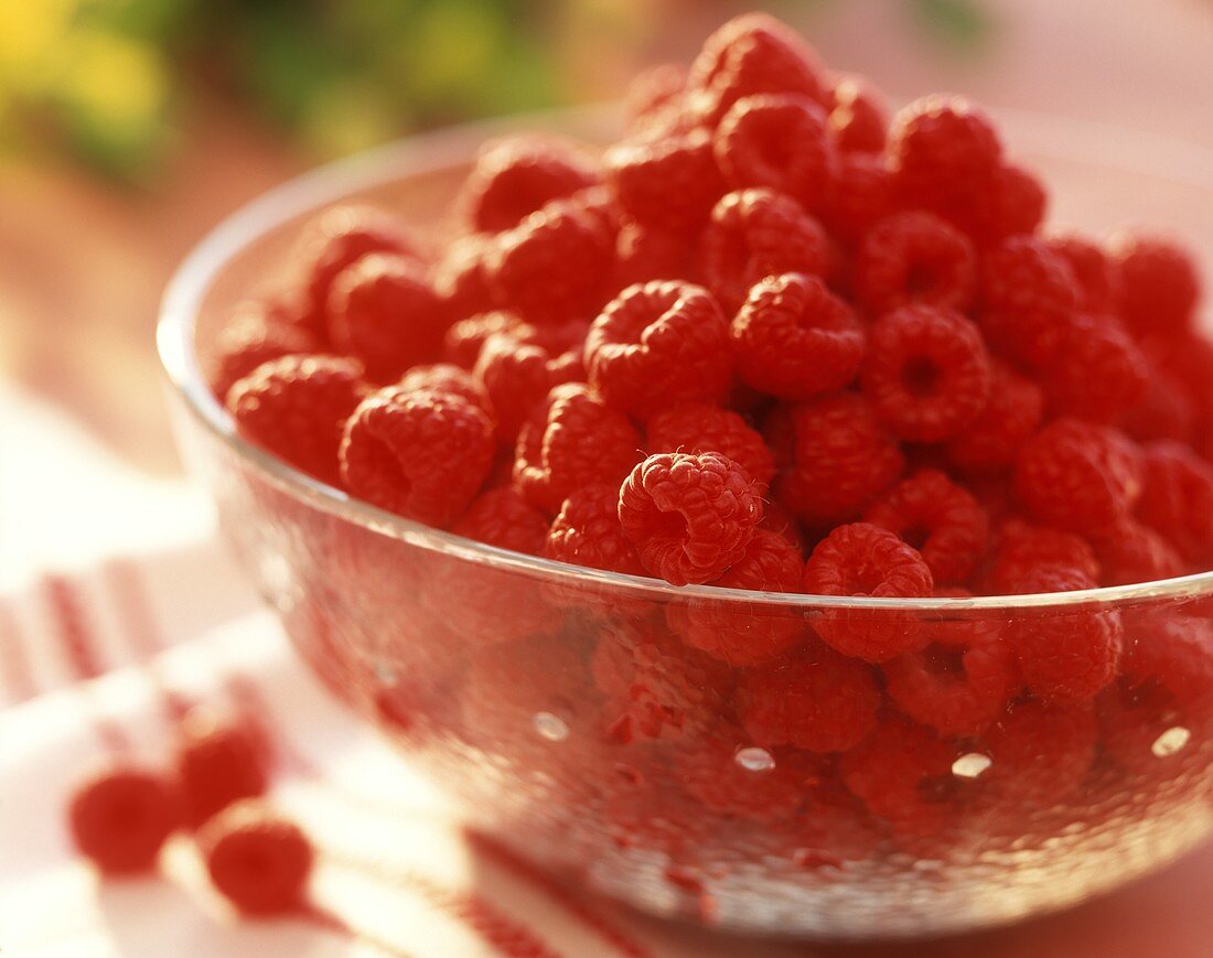 Frische Himbeeren in einer Schale