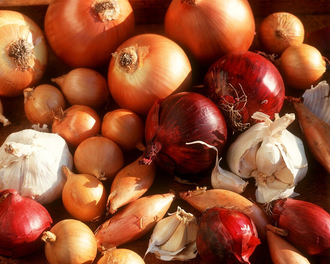 Still Life of Several Assorted Onions