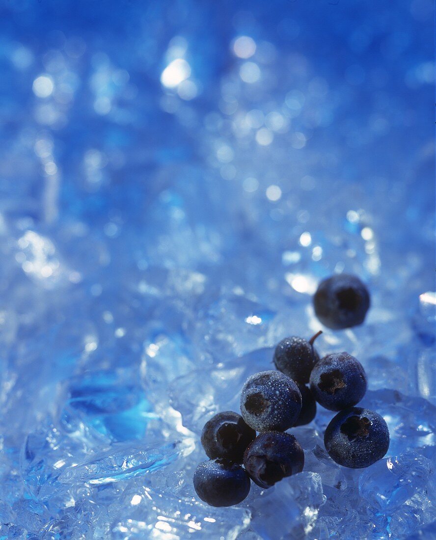 Blueberries on ice