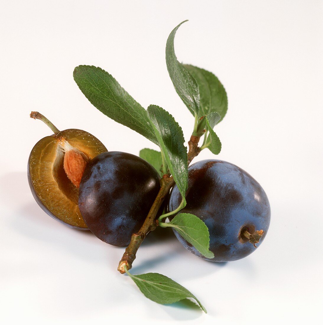 Plums with piece of branch and leaves
