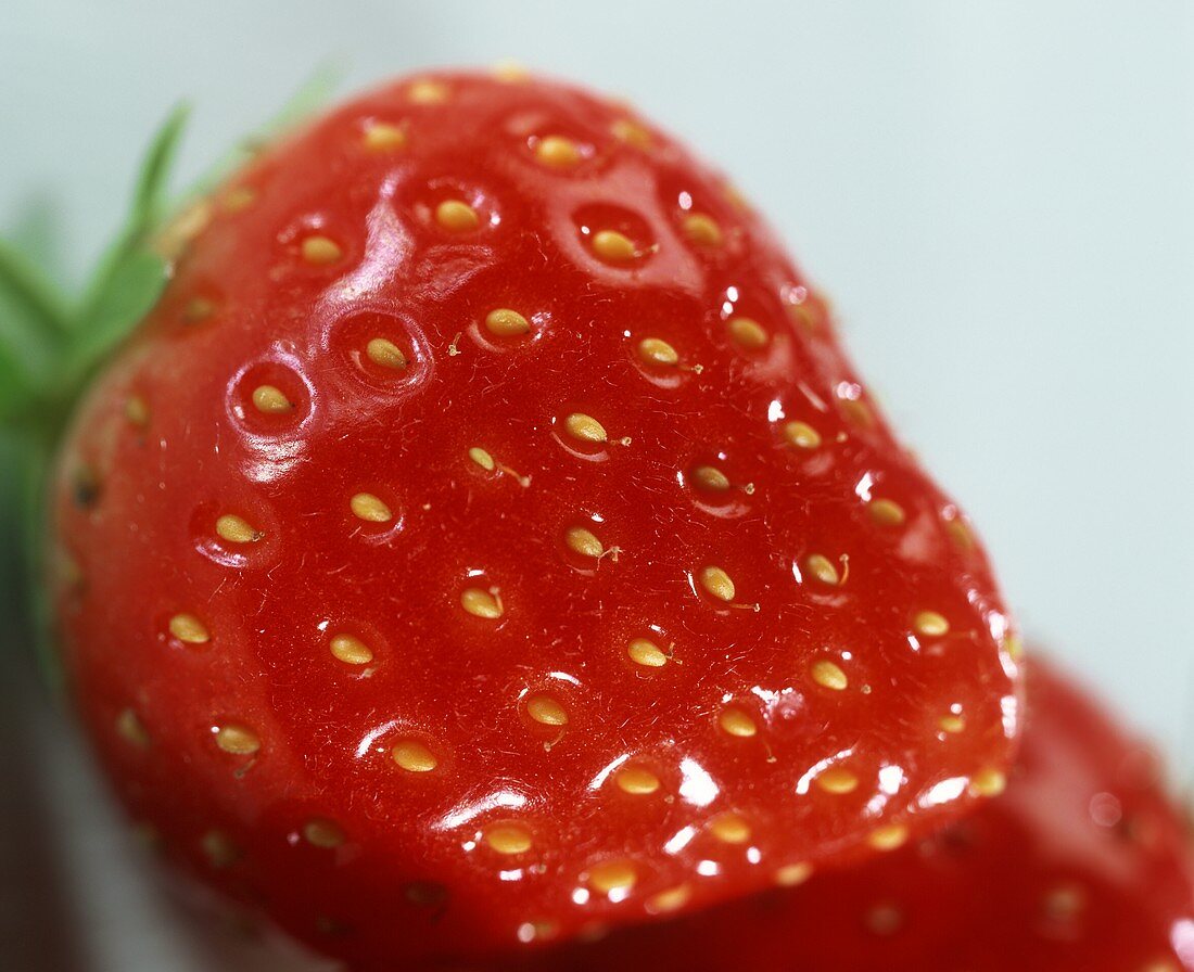 Erdbeeren