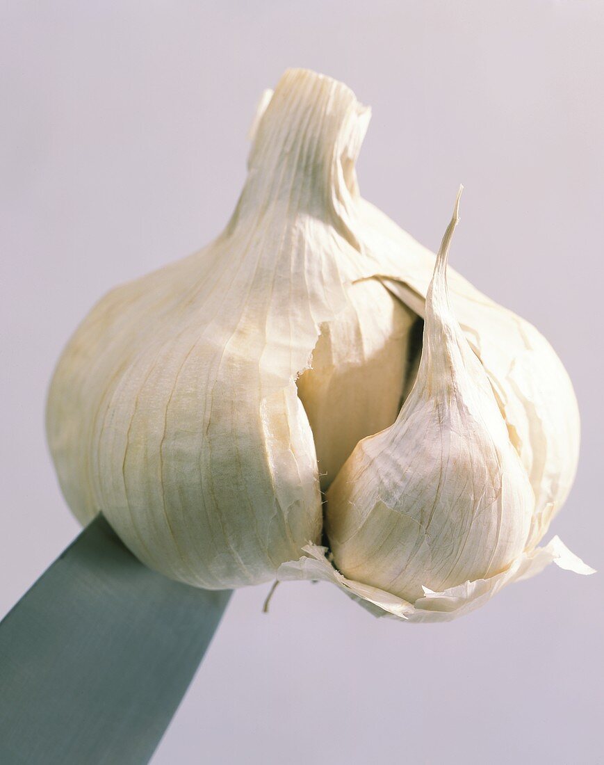 Garlic bulb with knife