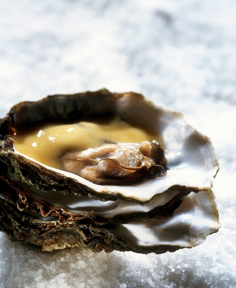 Ostriche alla francese (Oysters with sabayon, Italy)