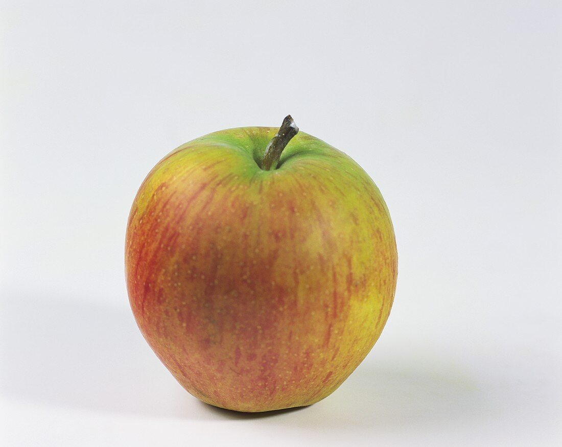 Ein Apfel der Sorte Rubinette