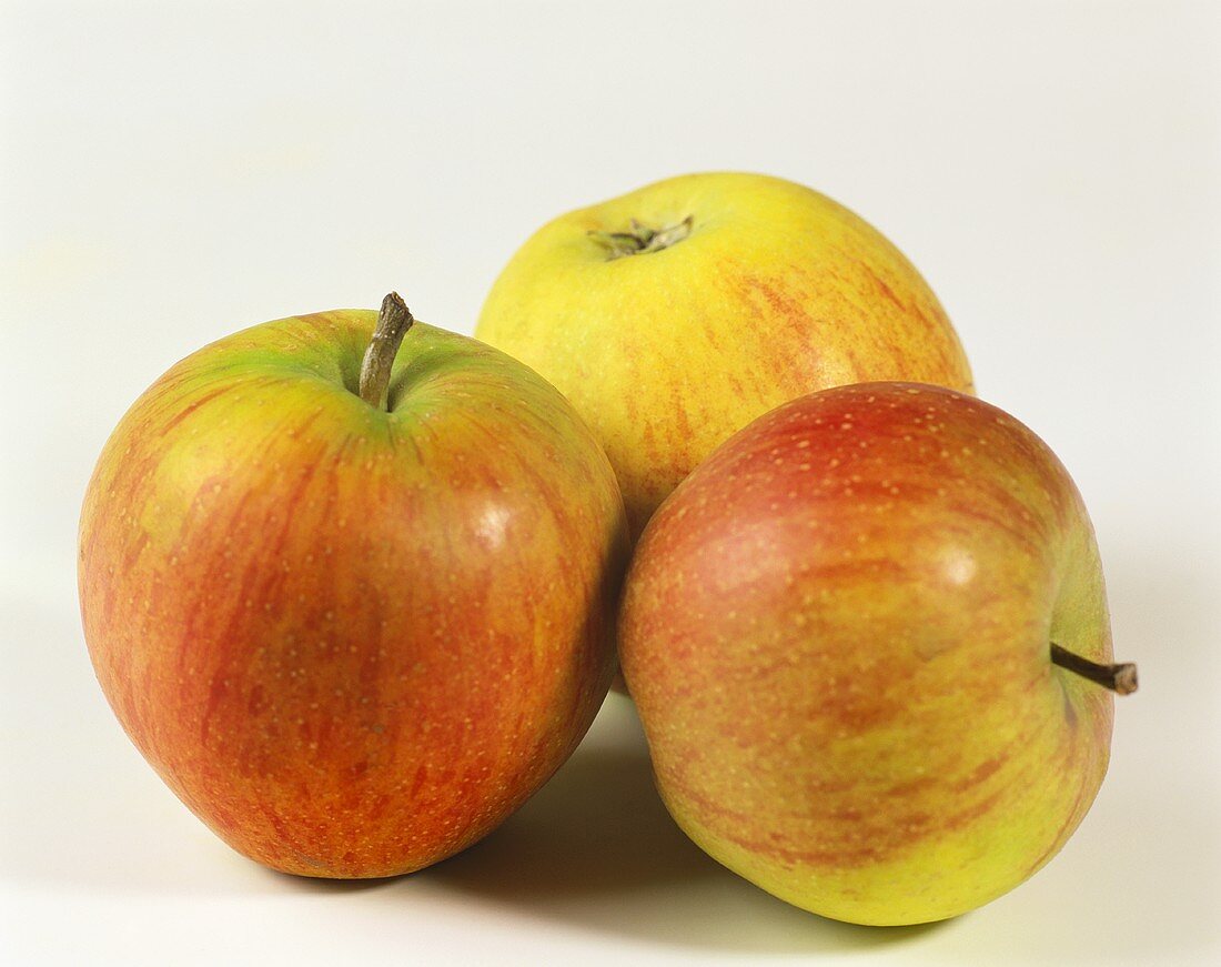 Drei Äpfel der Sorte Rubinette