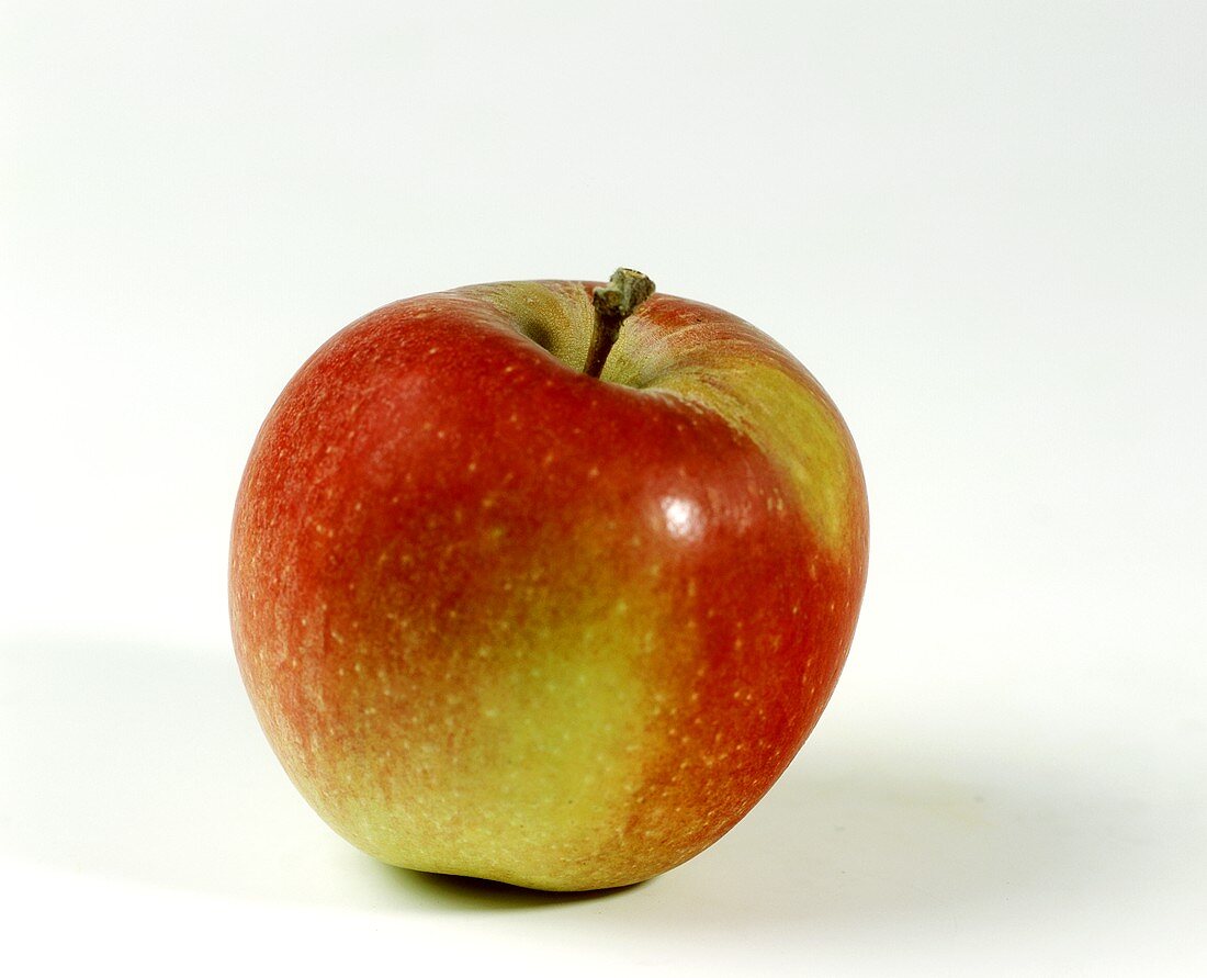 Ein Apfel der Sorte Braeburn
