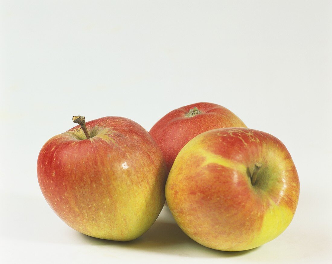 Drei Äpfel der Sorte Braeburn