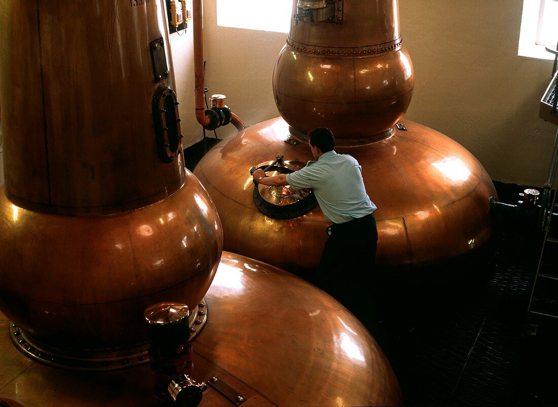 Destillierhalle der Knockdhu Distillery, Speyside, Schottland