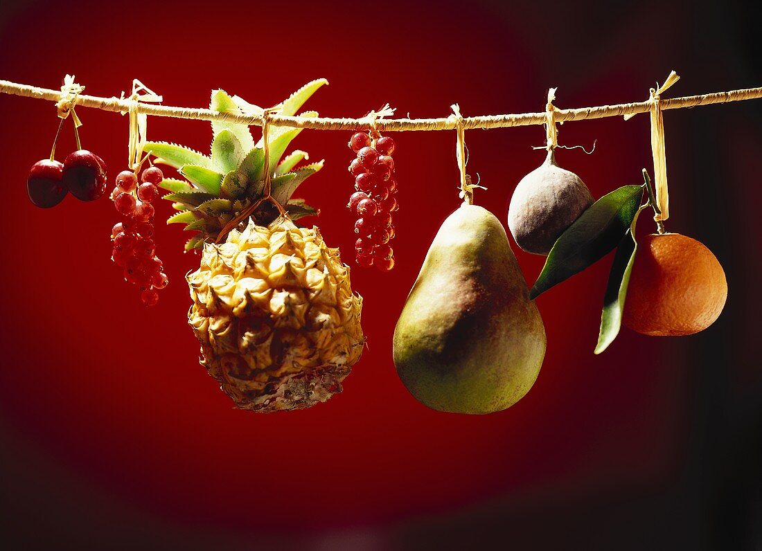 Früchte an Schnur aufgehangen