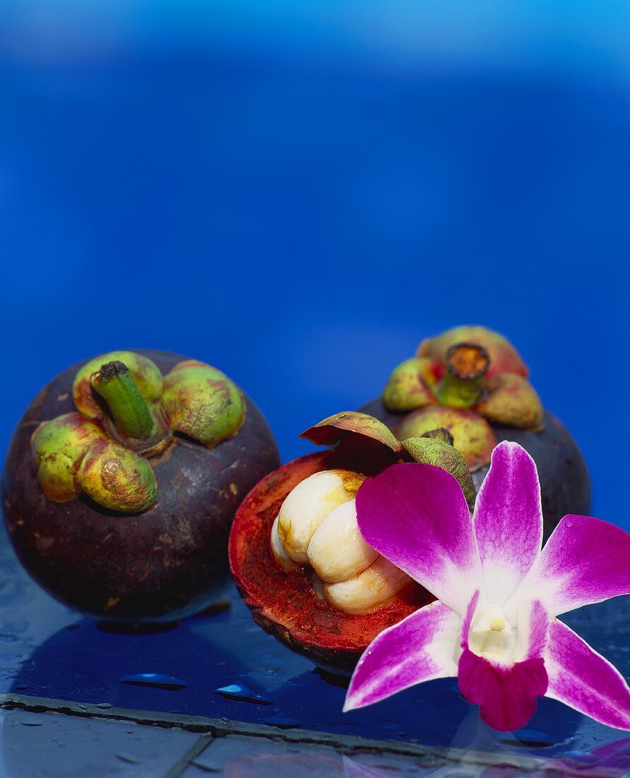 Mangosteens and an orchid flower