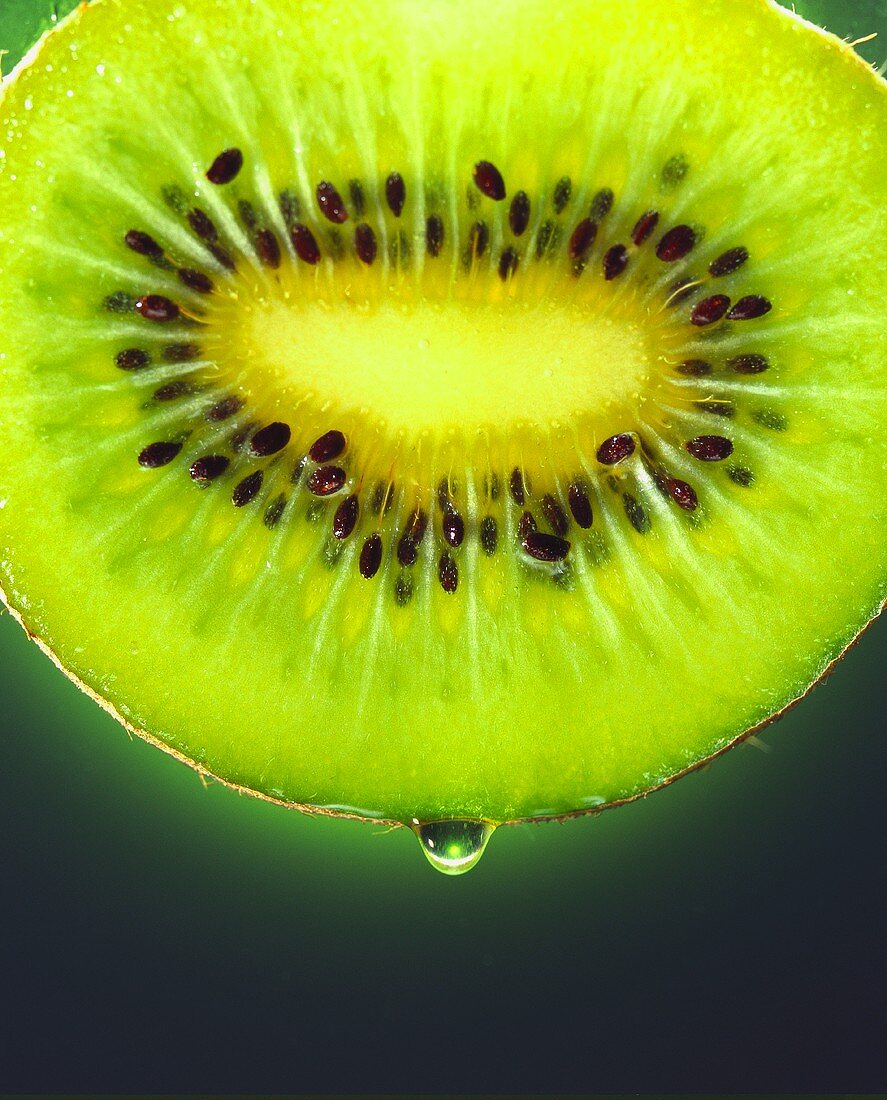 Slice of kiwi fruit (close-up)