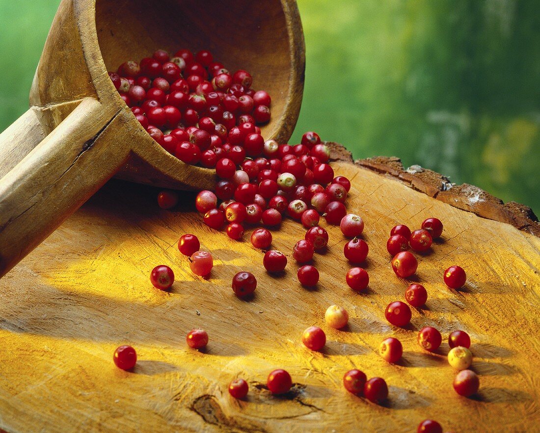 Cranberries falling out of a wooden ladle