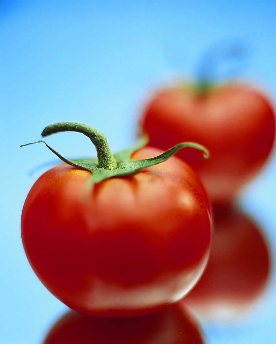 Zwei Tomaten vor türkisfarbenem Hintergrund