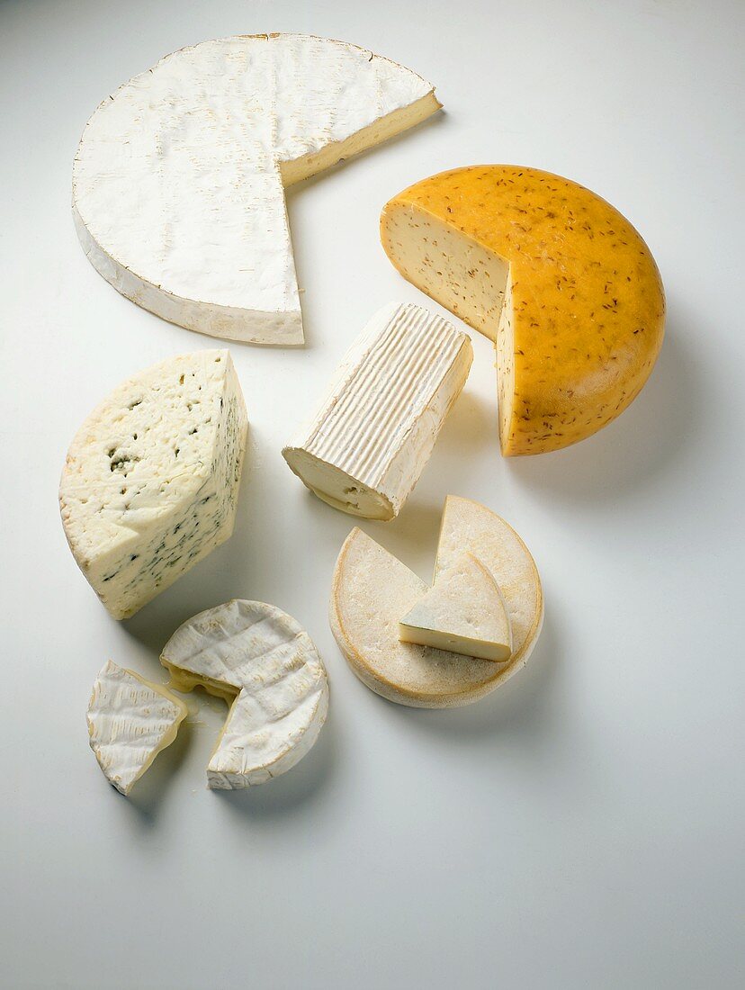 Sechs Sorten französischer Käse