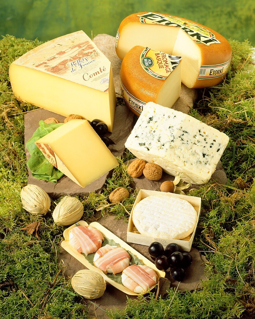Französische Käsesorten auf Waldboden
