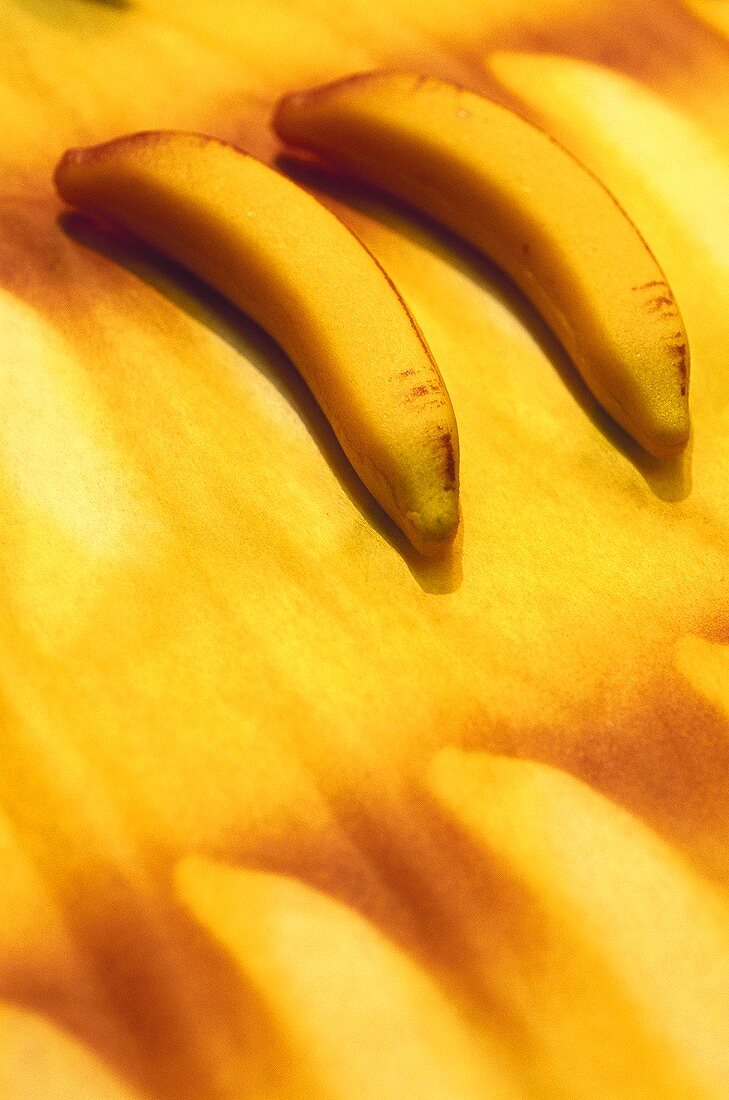 Two marzipan bananas after being dusted with colour