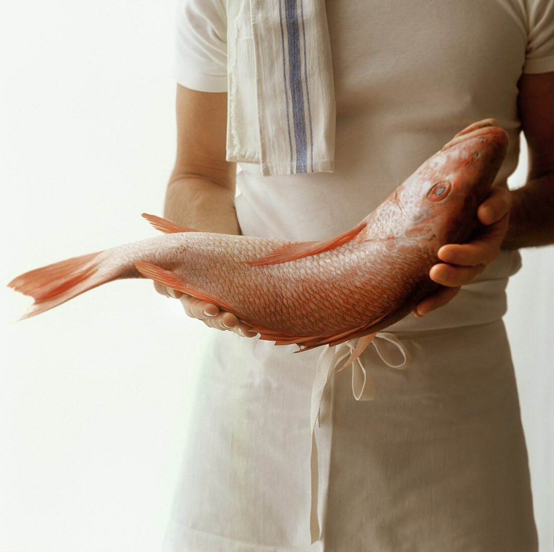 Koch hält grossen Fisch (Schnapper) in den Händen