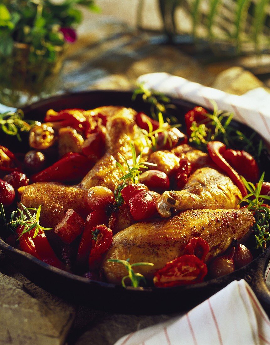 Provençal braised chicken with tomatoes (France)