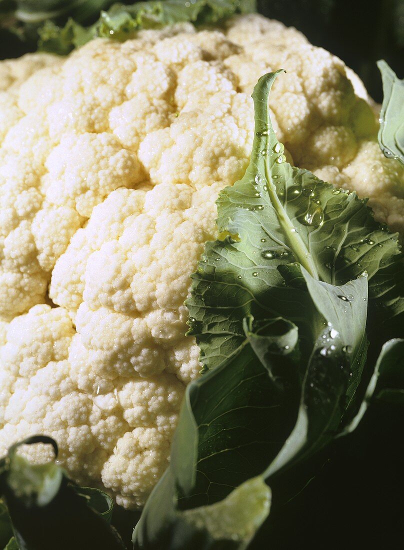 Fresh cauliflower