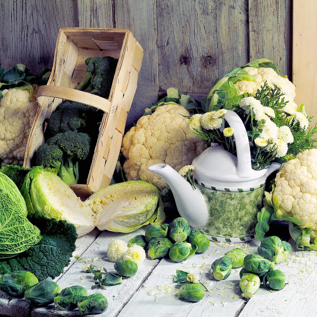 Still life with different types of cabbages