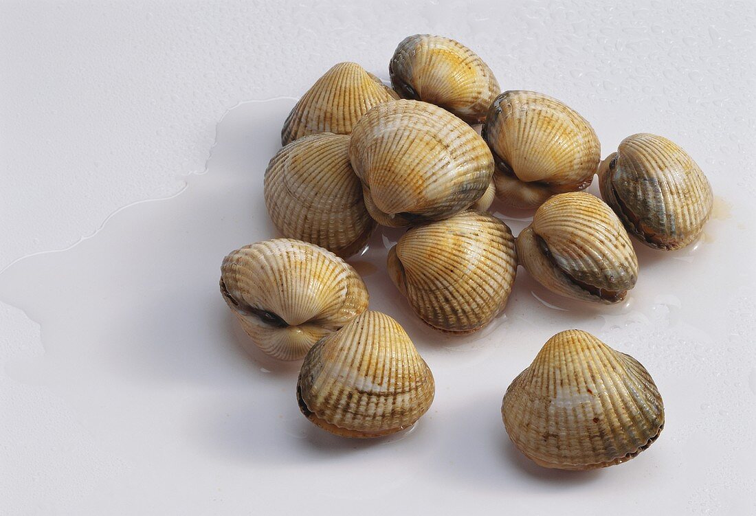 Several cockles