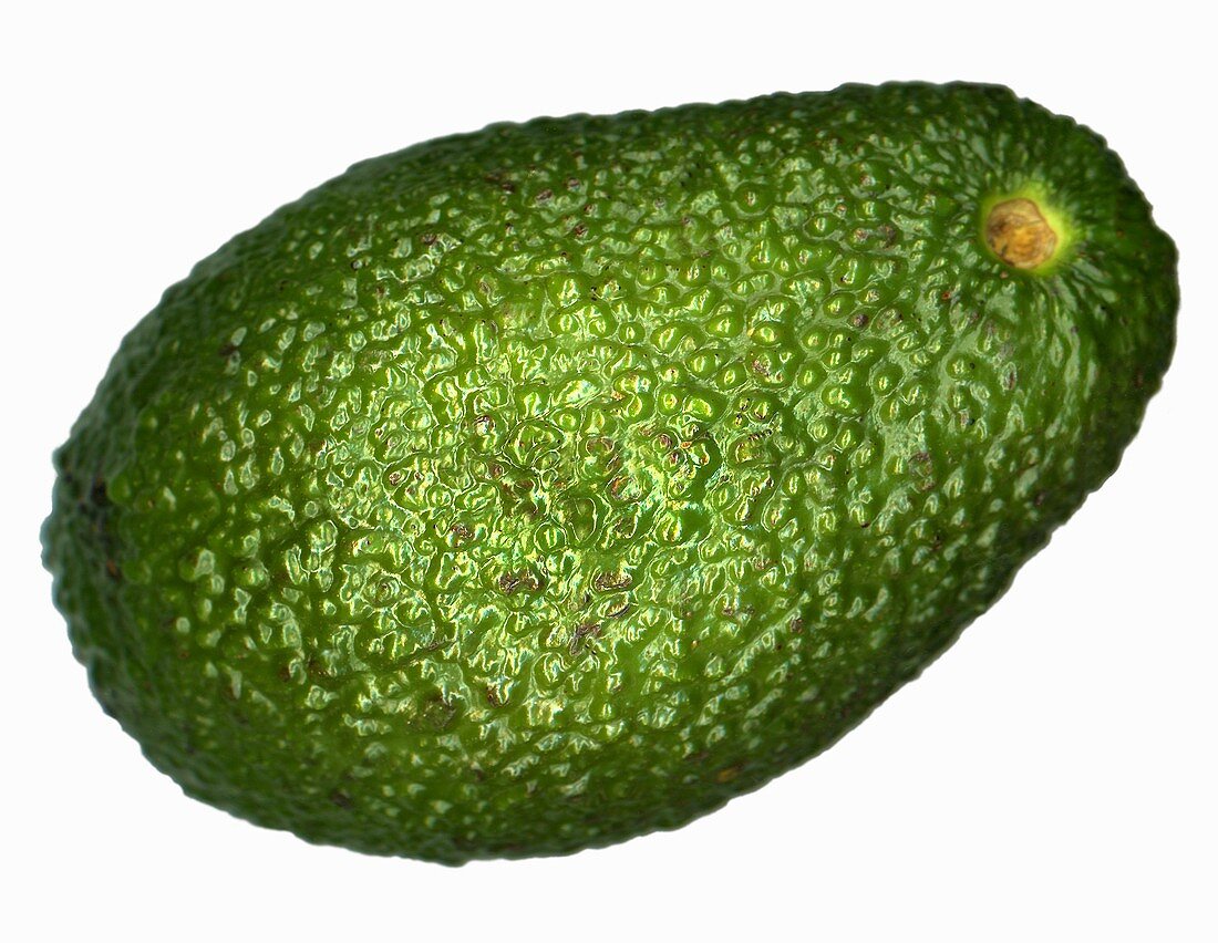 An avocado