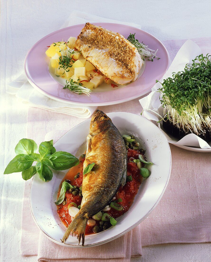 Herrings on tomato sauce and redfish fillet in sesame crust