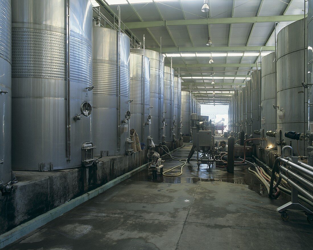 Weintanks, Santa Rita im Maipo-Tal, Chile
