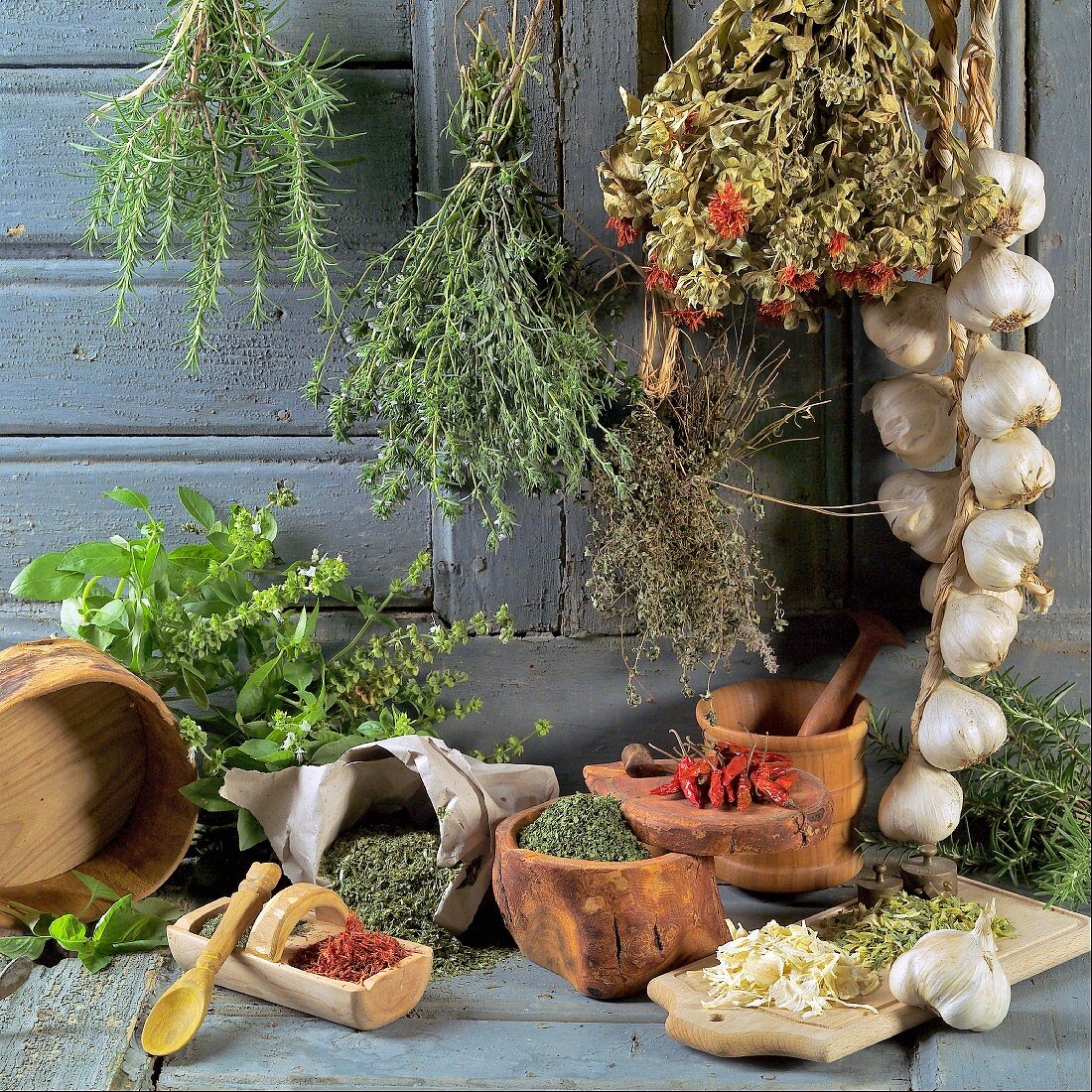 Still life with dried and fresh herbs and garlic