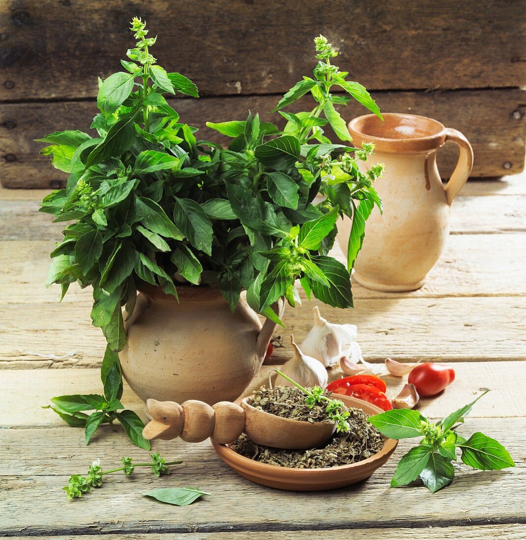 Basil, fresh and dried