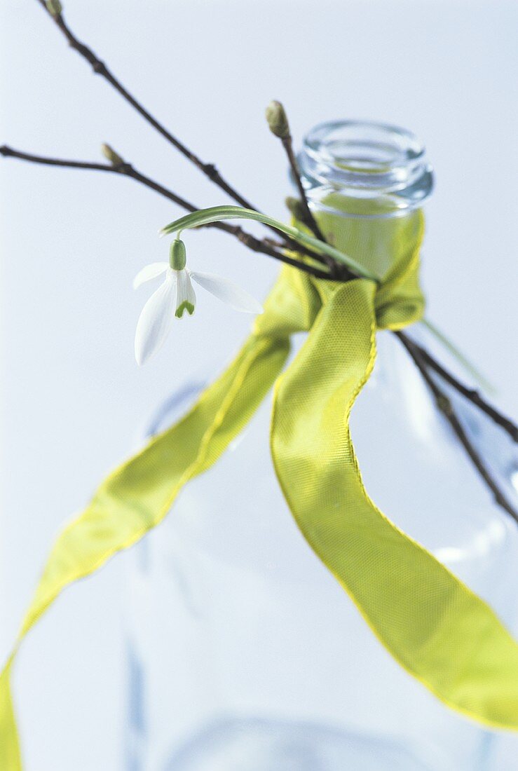 Bottle with green bow and snowdrops