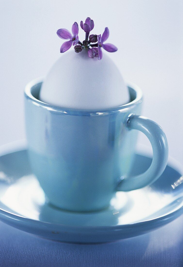 White egg in blue cup