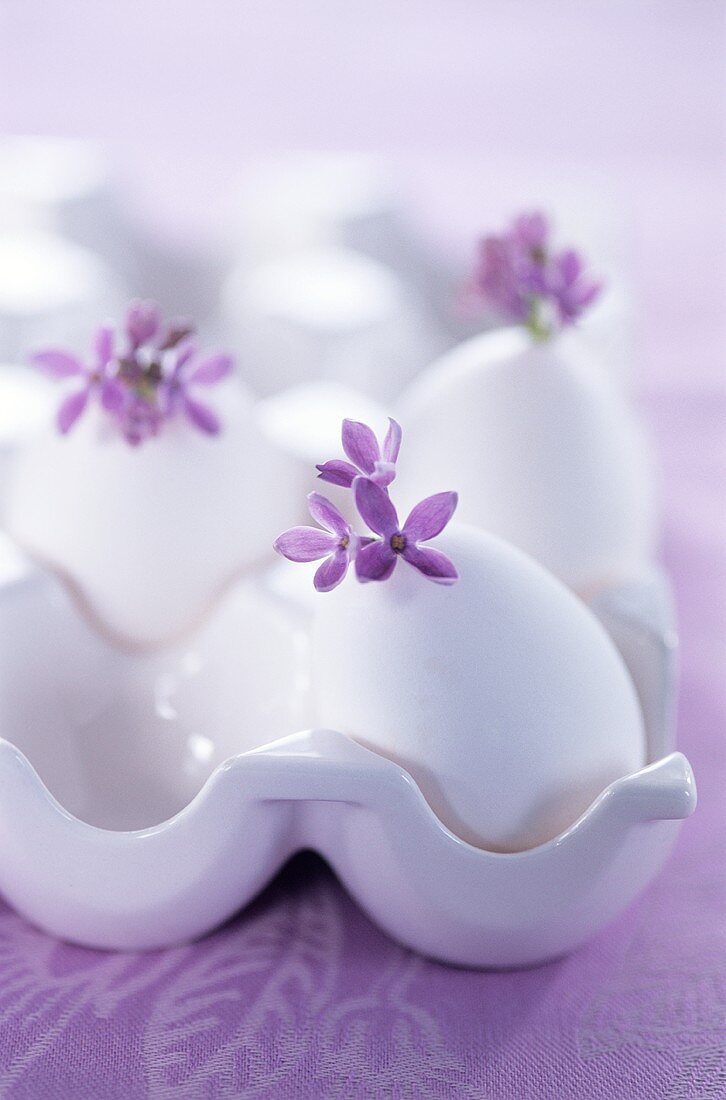 White eggs with lilac in egg holder
