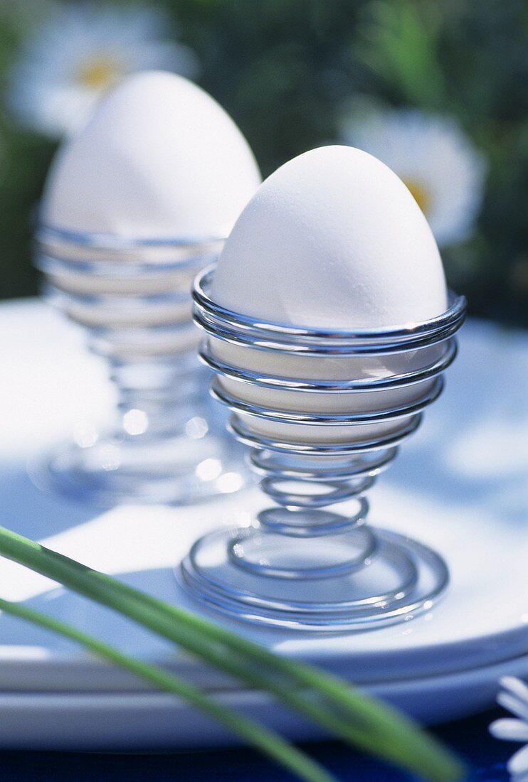 Two eggs in chromium-plated eggcups