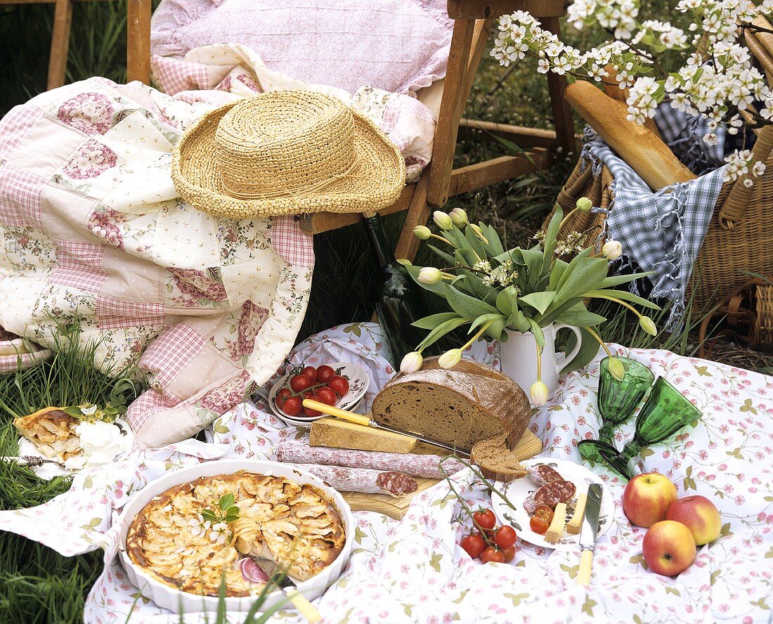 Picknick mit Wurst, Käse und Kuchen